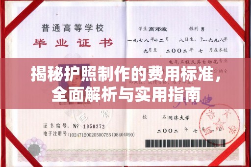 新林揭秘护照制作的费用标准，全面解析与实用指南